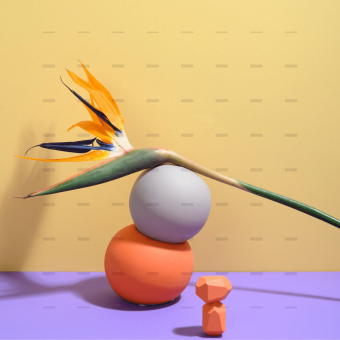 demo-attachment-254-pexels-daria-liudnaya-7354472-min