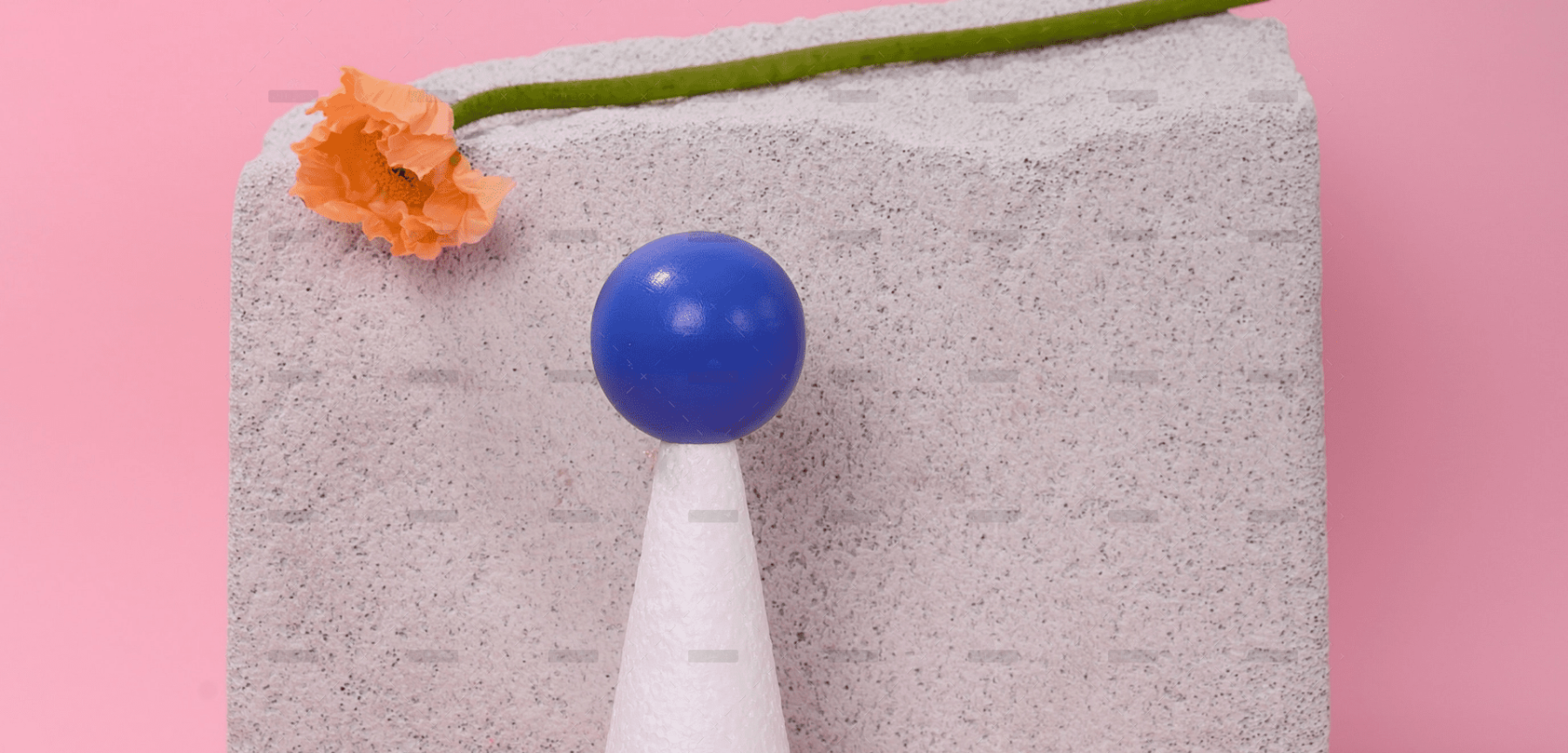 demo-attachment-1651-pexels-daria-liudnaya-7354801